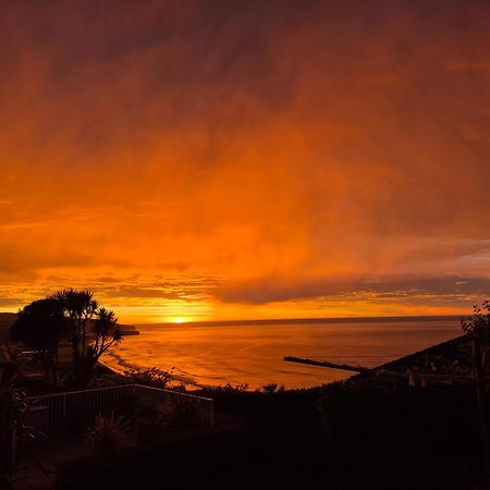 Rosemount B&B By The Sea St Clair Dunedin Eksteriør billede