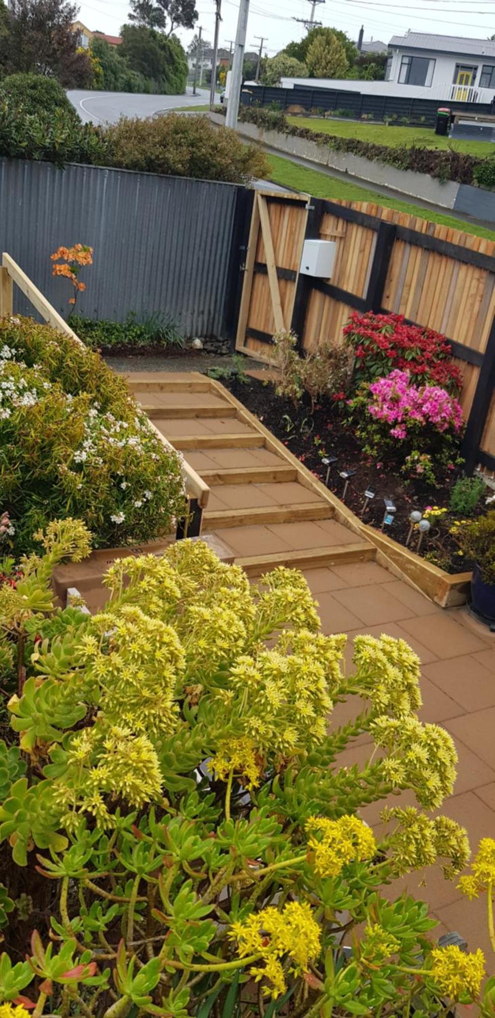 Rosemount B&B By The Sea St Clair Dunedin Eksteriør billede