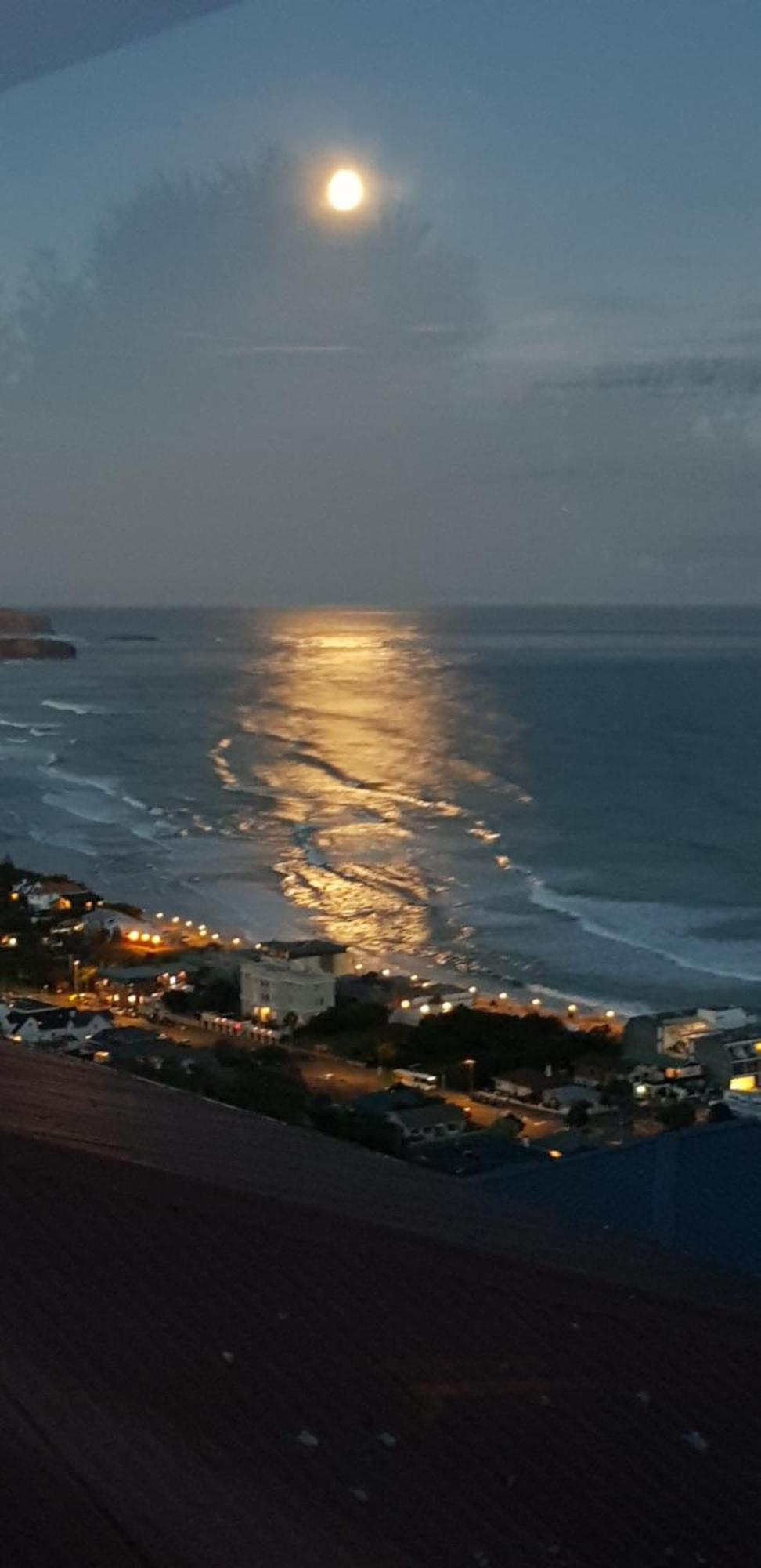 Rosemount B&B By The Sea St Clair Dunedin Eksteriør billede