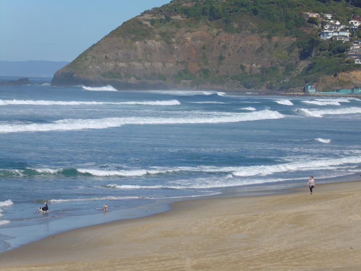 Rosemount B&B By The Sea St Clair Dunedin Eksteriør billede